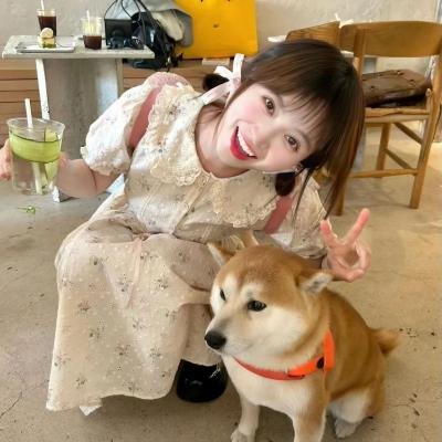 巴黎疯马秀 在线观看