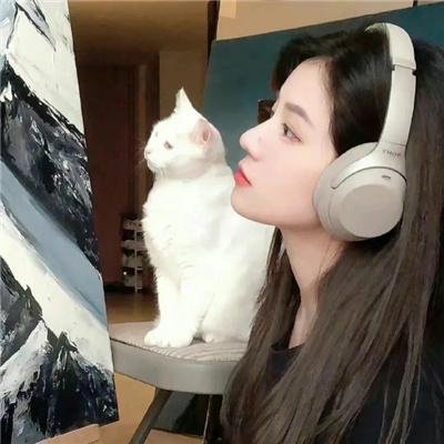 双世美姬 在线观看