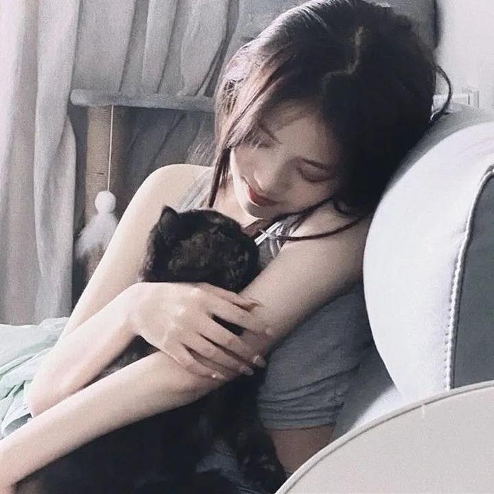 幽默的界限 在线观看